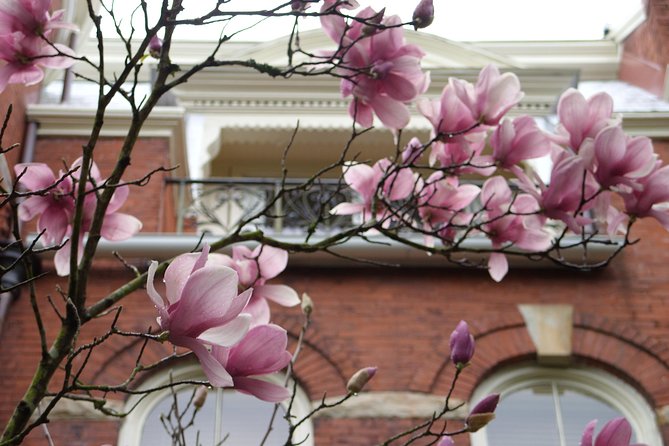Savannah Historic District Walking Tour - Savannahs Storied Past and Heritage