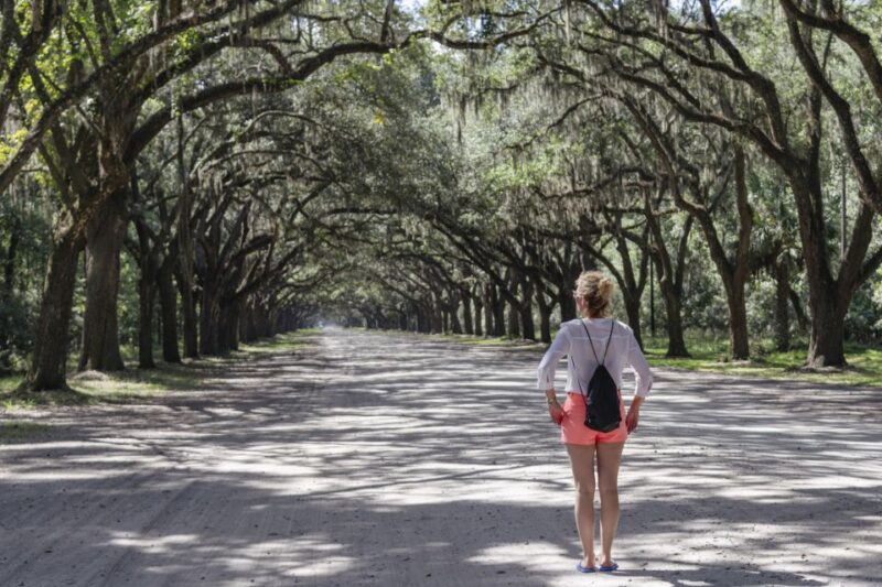 Savannah: Historic Highlights Walking Tour - Unique Atmosphere and Charm