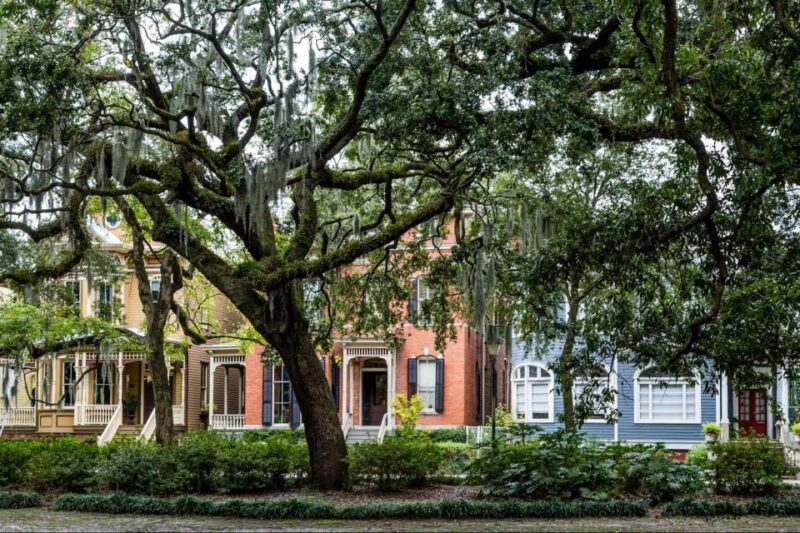 Savannah: Historical Panoramic City Tour - Booking Information