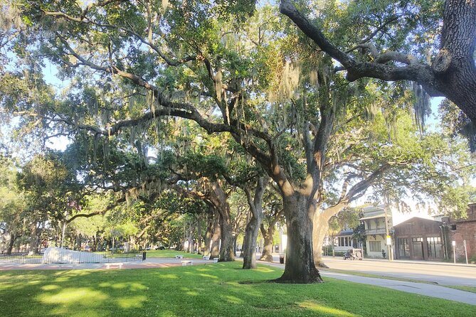 Savannah Irish History Walking Tour - Irish Immigration to Savannah