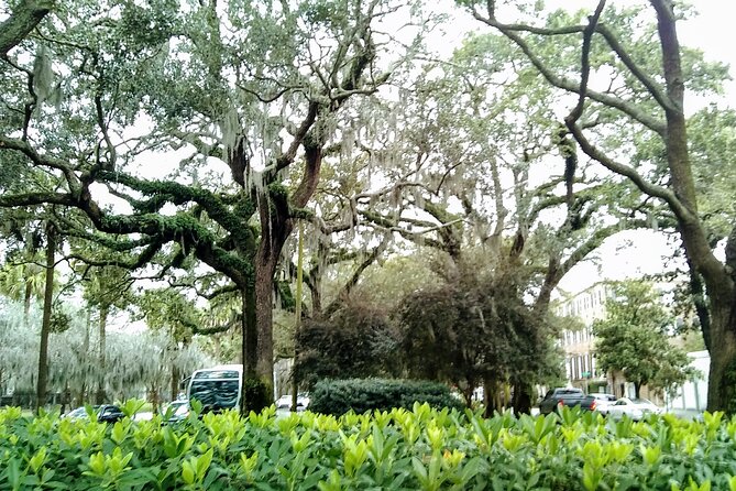 Savannah Irish History Walking Tour - Savannahs Irish Street Names