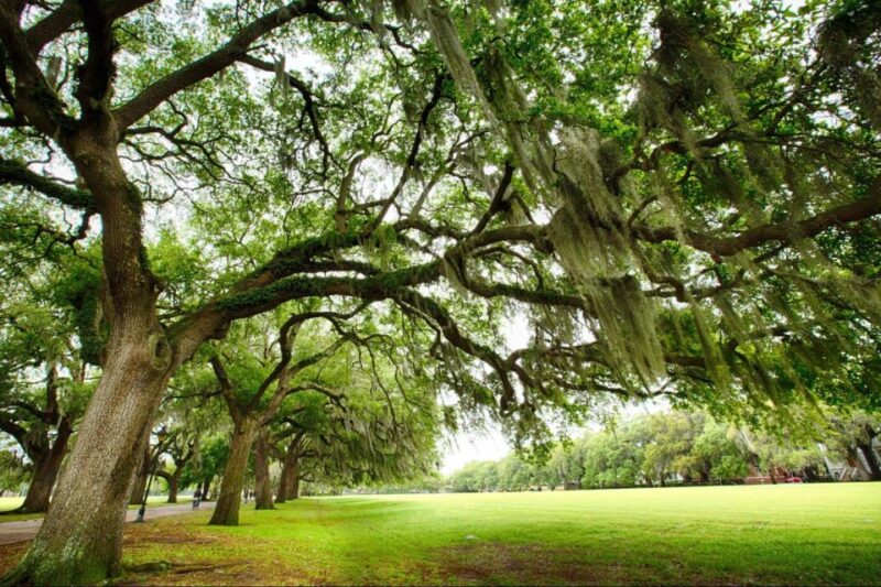Savannah: Riverboat Cruise & City Tour Combo - Included Amenities
