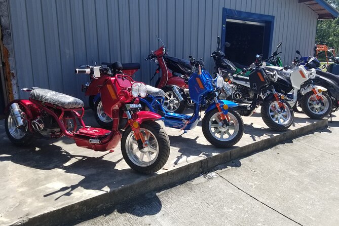 Savannah Scooter and Trike Rental With Helmet - Wheelchair Accessibility and Public Transport
