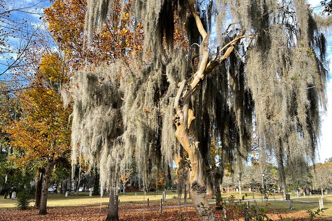 Savannah Self Guided Ghost Tour - Satisfaction Guarantee and Refund Policy