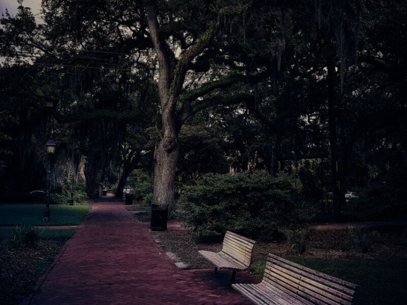 Savannah: Sixth Sense Savannah Ghost Tour - Experience Highlights