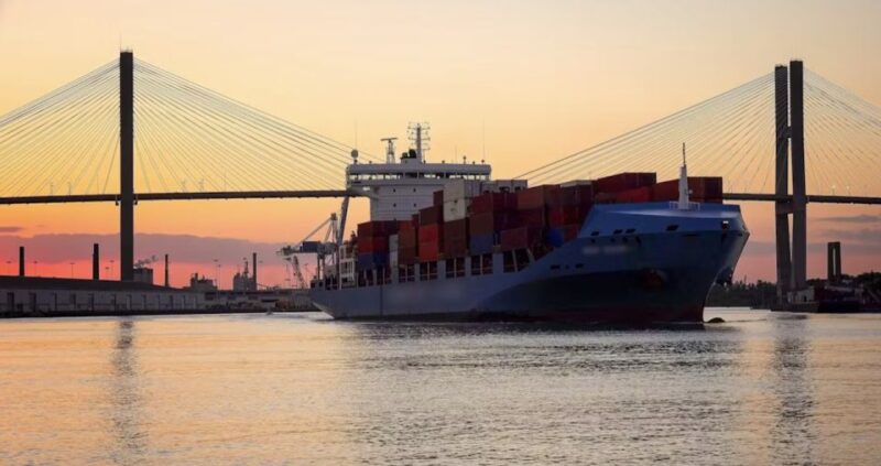 Savannah: Sunset Dolphin Watching Eco Tour by Boat - Activity Highlights