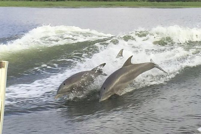 Savannah to Tybee Island With Dolphin Cruise - Visiting the Lighthouse