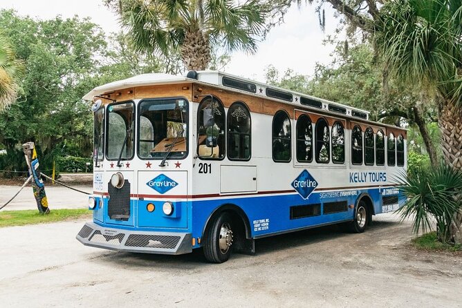 Savannah to Tybee Island With Dolphin Cruise - Traveler Experiences