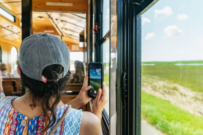 Savannah: Tybee Island Dolphin Tour - Preparation and Recommendations