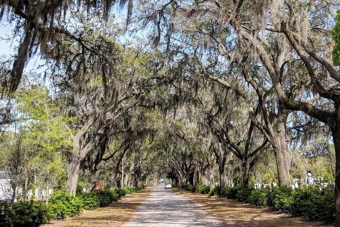 Savannah VIP Tour: Private Full-Day Tour - Tybee Island Excursion