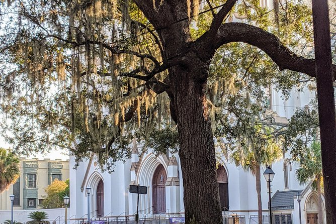 Savannah VIP Tour: Private Full-Day Tour - Lighthouse and Coastal Views
