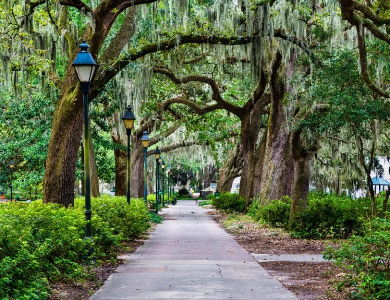 Savannah: We Shall Overcome Black History Walking Tour - Experience Highlights