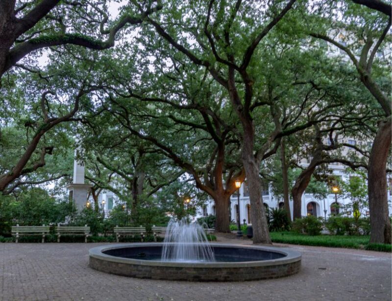 Savannah: We Shall Overcome Black History Walking Tour - Historical Insights