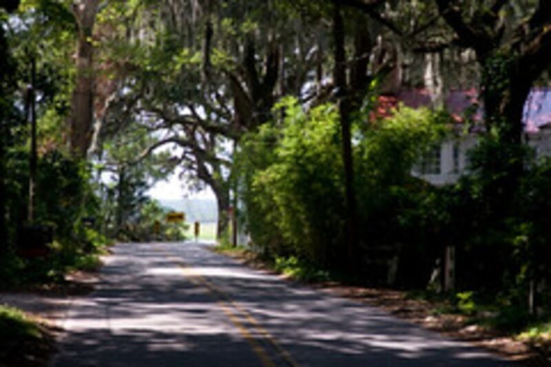 Savannah: Wormsloe Plantation and Bonaventure Cemetery Tour - Tour Highlights