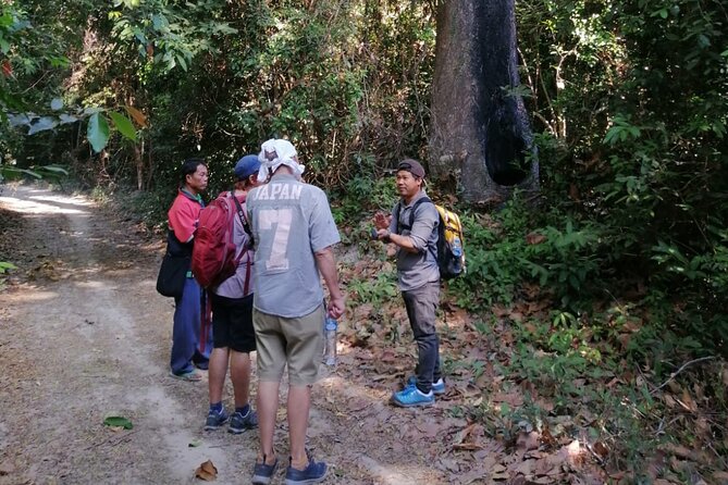 Savannakhet Outskirt Day Trip Dong Natad Trekking - Key Points