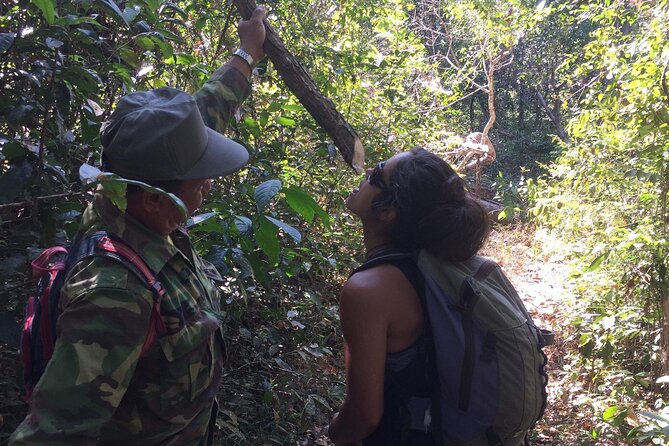Savannakhet Outskirt Day Trip Dong Natad Trekking - Inclusions and Pricing