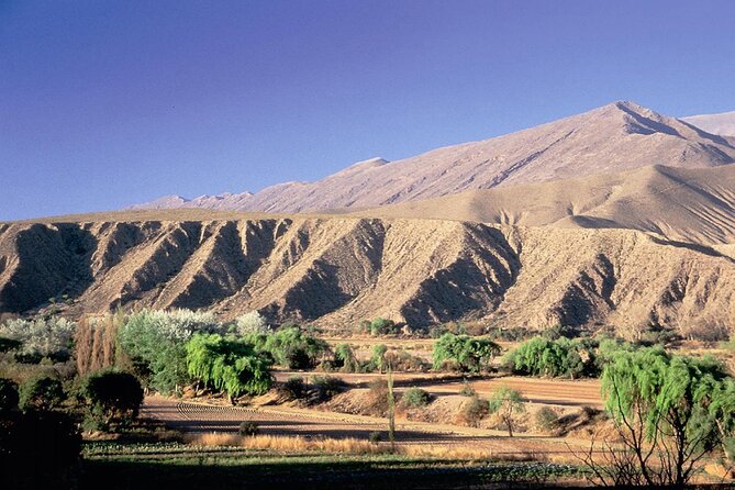 Saver Combo: Cafayate, Humahuaca, Transfer and Free Walking Tour - Exploring Cafayate