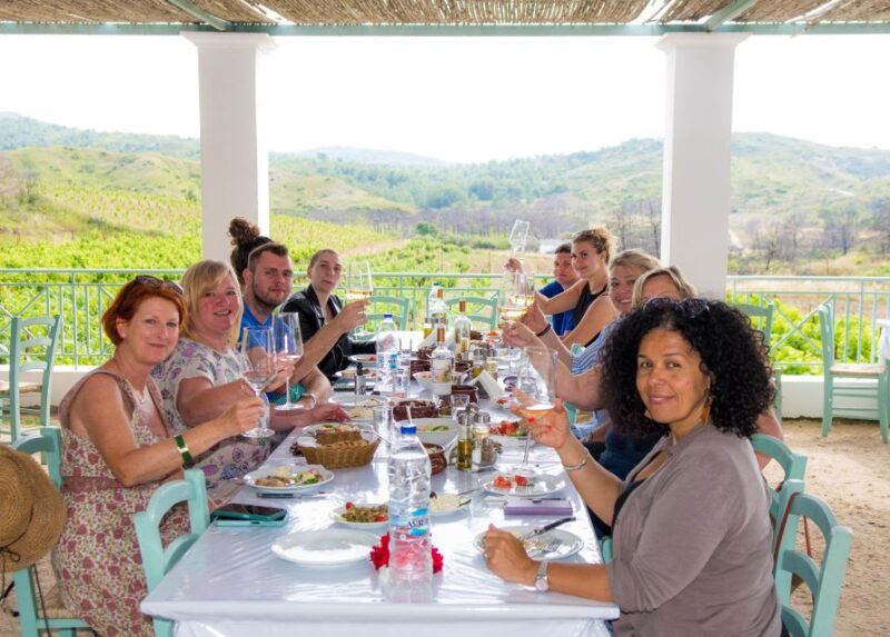 Savor Rhodes: 11-Dish Wine Pairing and Cooking Adventure - Guided Vineyard and Distillery Tour