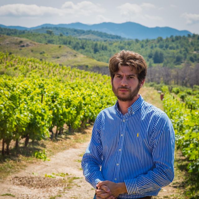 Savor Rhodes: 11-Dish Wine Pairing and Cooking Adventure - Unlimited Wine Tasting Experience