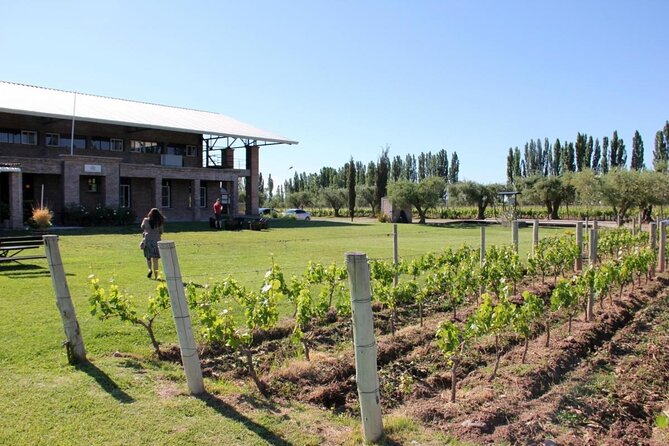 Savoring Luján De Cuyo: a Culinary and Wine Exploration - Key Points