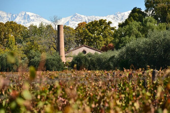Savoring Luján De Cuyo: a Culinary and Wine Exploration - Memorable Sensory Delight