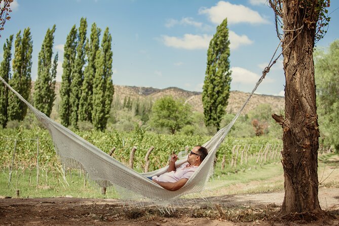 Savoring Luján De Cuyo: a Culinary and Wine Exploration - Planning Your Adventure