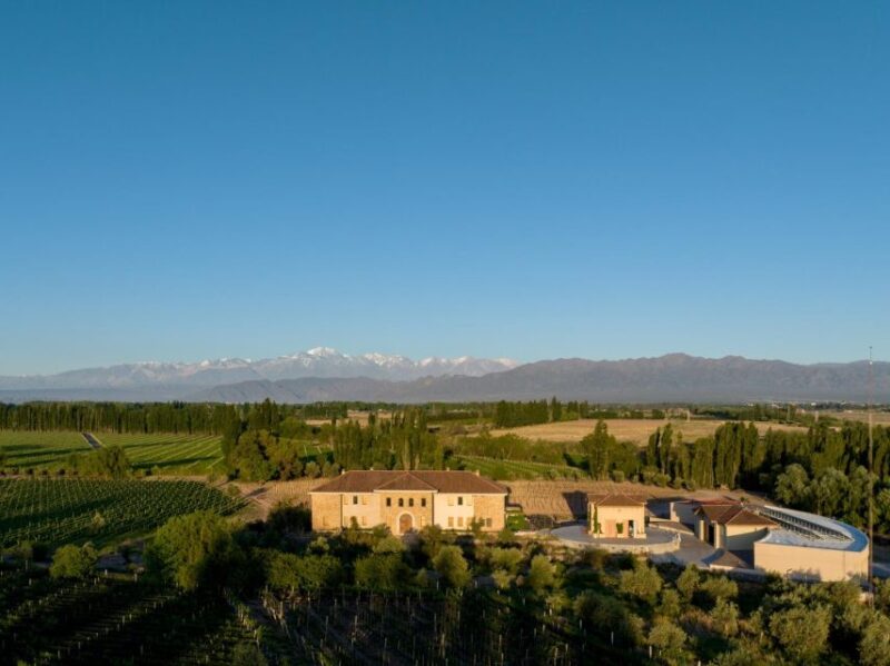 Savoring Luján De Cuyo: a Culinary and Wine Exploration - Key Points