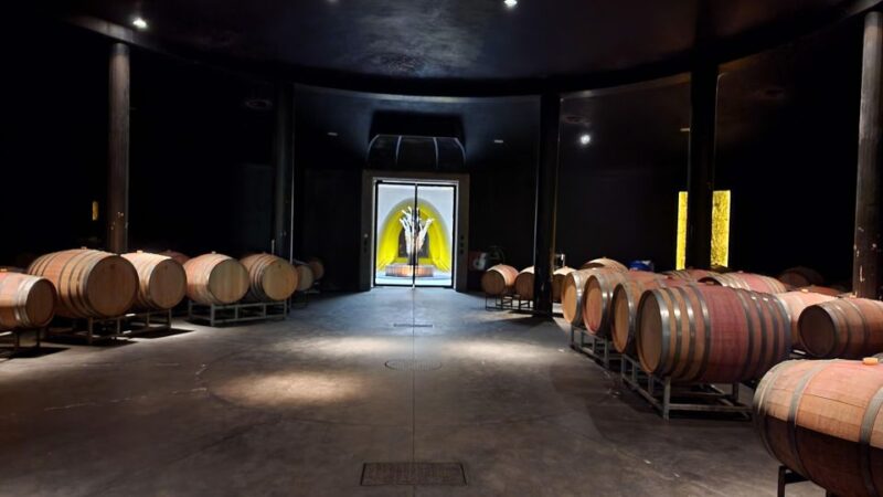 Savoring Luján De Cuyo: a Culinary and Wine Exploration - Unique Wines and Terroirs