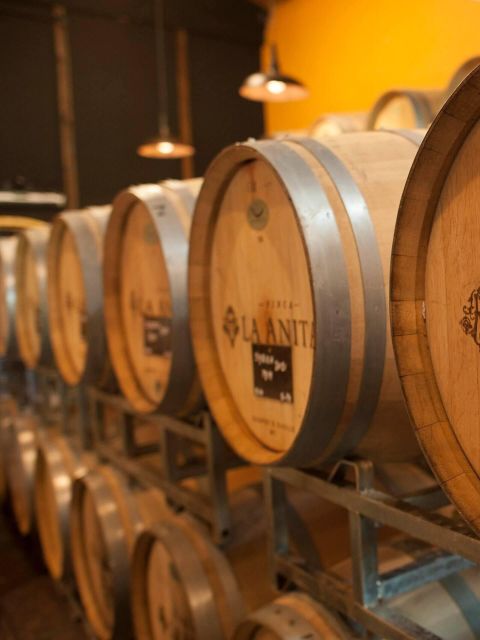 Savoring Luján De Cuyo: a Culinary and Wine Exploration - Scenic Malbec Experience