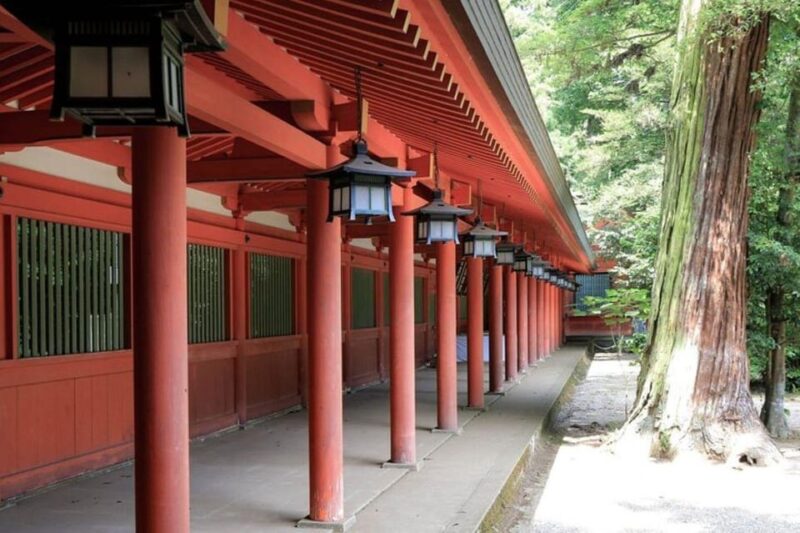 Sawara Chiba Private Tour - Accessibility