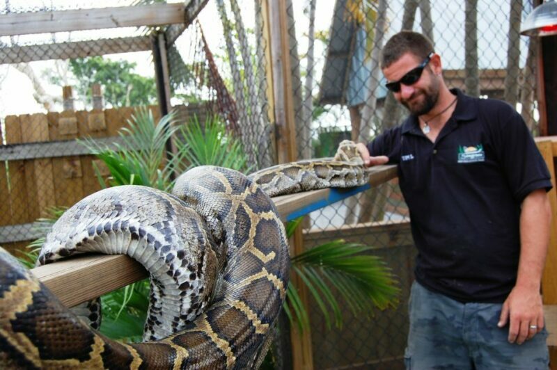 Sawgrass Park: Private 1-Hour Airboat Adventure Tour - Accessibility and Practical Tips