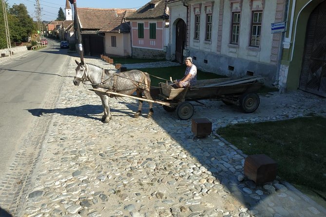 Saxon Heritage in Transylvania: Day Trip From Cluj-Napoca - Discovering Fantanele and Its Charms