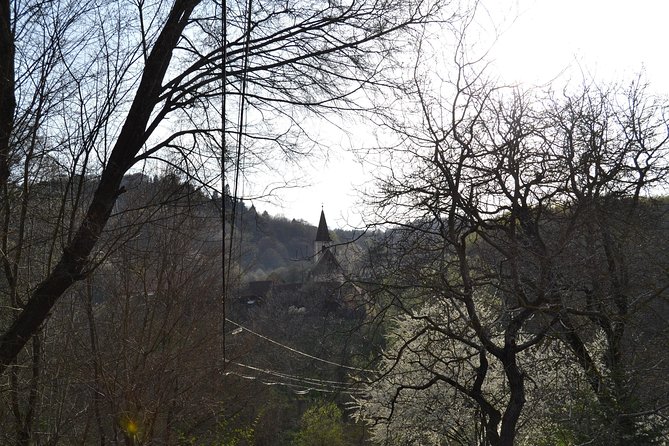 Saxon Heritage in Transylvania: Day Trip From Cluj-Napoca - Transportation and Logistics of the Tour