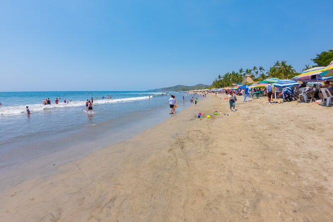 Sayulita And San Pancho Beachs Tour - Tour Accessibility