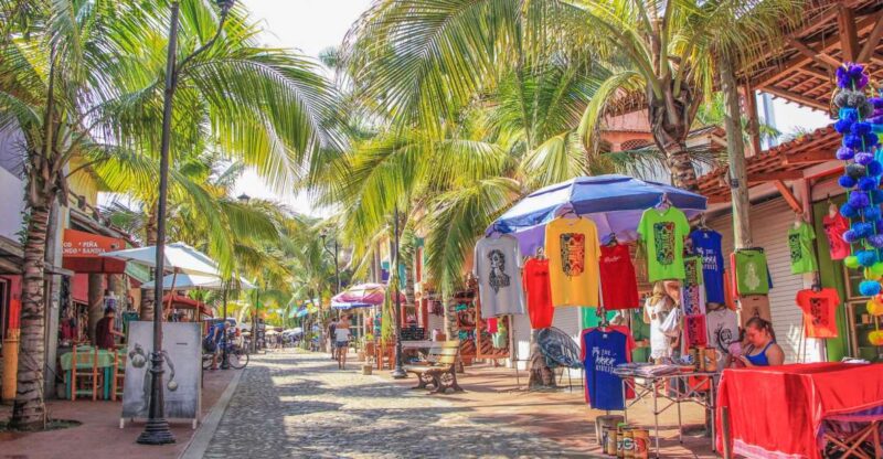 Sayulita and San Pancho Day Trip - Itinerary Highlights