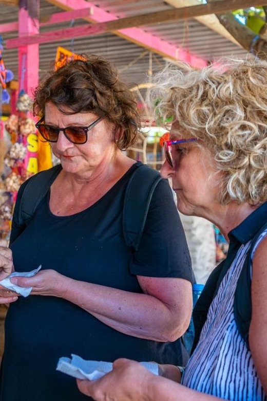 Sayulita and San Pancho: Excursion Through Coastal Towns - Key Points