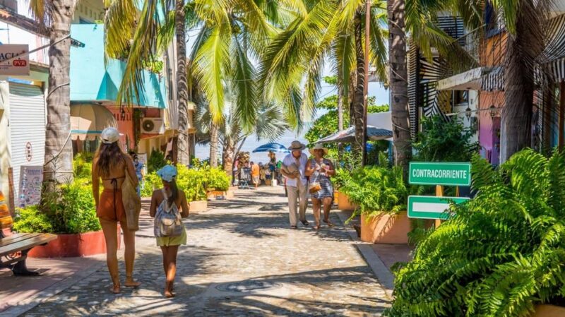 Sayulita and San Pancho: Excursion Through Coastal Towns - Sayulita Experiences