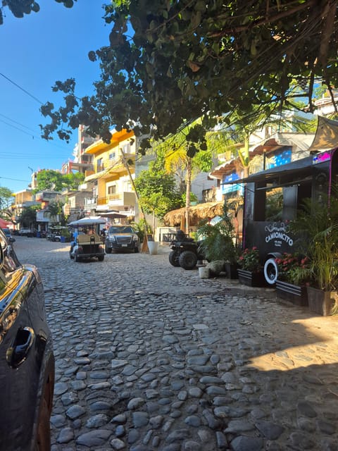 Sayulita: Electric Cart Rental - Required Identification
