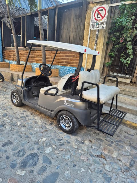 Sayulita: Electric Cart Rental - Rental Process Overview