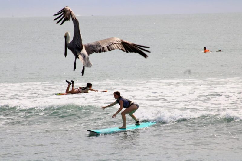 Sayulita: Surf Lessons for Beginner/Intermediate/ Advance - Experience and Expertise of Instructors