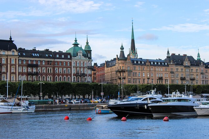 Scandinavian Art, Architecture and Design Tour in Stockholm - Accessibility and Participation