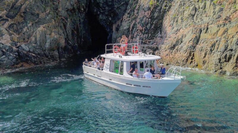 Scandola: Visit the Nature Reserve From Porto (France) - Itinerary Details