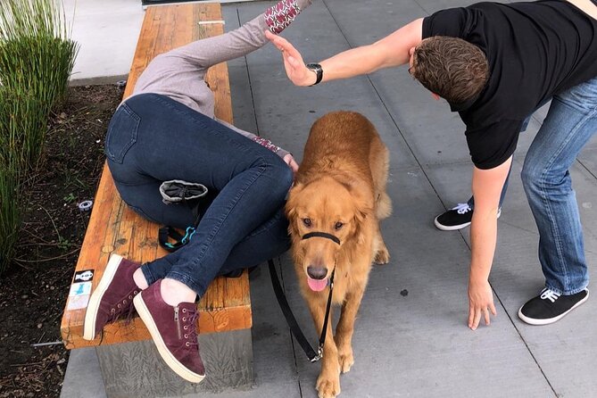 Scavenger Hunt Adventure in Baltimore by Operation City Quest - Exploring Charm City