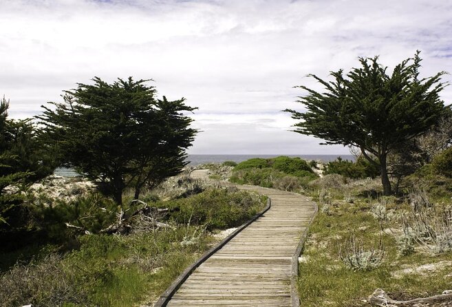 Scenic 17-Mile Drive Tour - Self Drive Audio Guide From Monterey & Carmel - Accessibility and Convenience