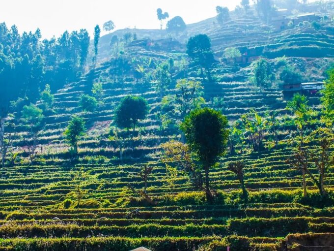 Scenic 3-Day Hike: From Sundarijal to Chisapani and Nagarkot - Participant Suitability