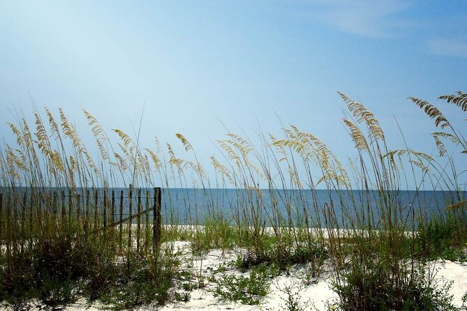 Scenic A1A Byway Self Guided Driving Audio Tour - Exploring the Historic and Natural Wonders