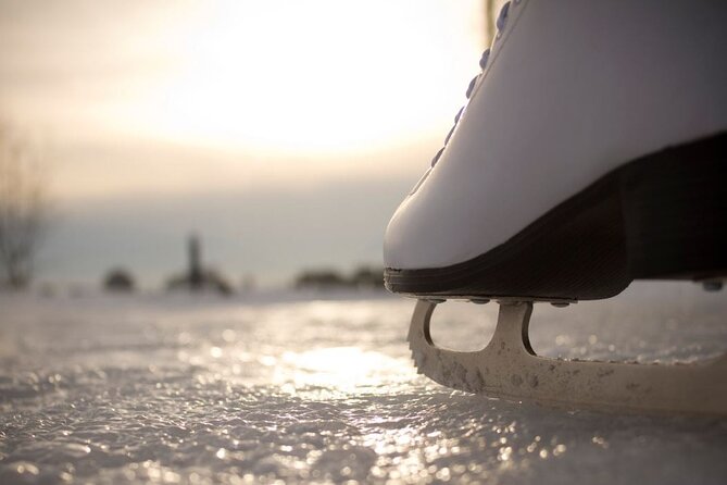Scenic Anchorage Ice Skating and Picnic Experience - How to Book Your Scenic Ice Skating Experience