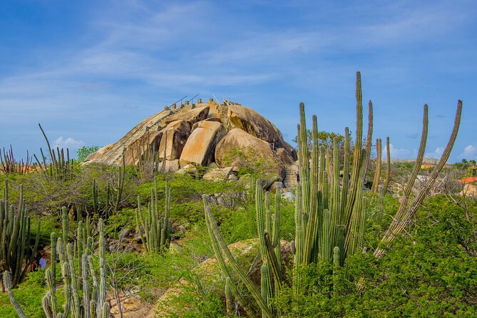 Scenic Aruba Self-Guided Driving and Walking Audio Tour - User Experience and Feedback