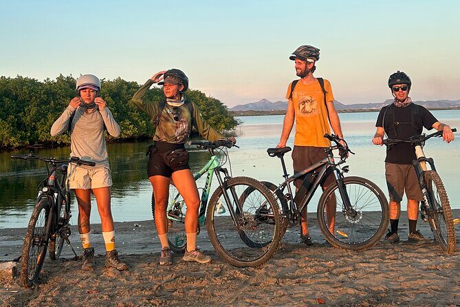 Scenic Bay Bike Ride Through Desert and Mangrove - Practical Details and Why They Matter