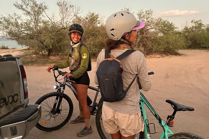 Scenic Bay Bike Ride Through Desert and Mangrove - Final Thoughts: Is This Tour Worth It?